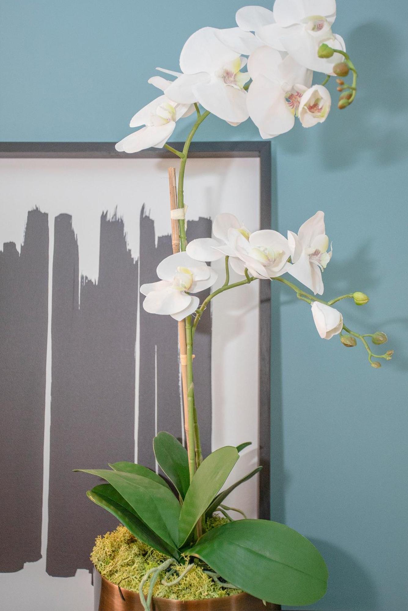 Liiiving In Porto - Ribeira Design Apartment 外观 照片